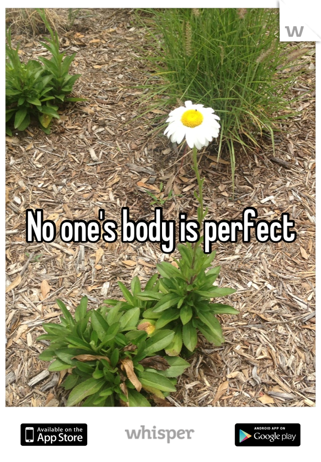 No one's body is perfect