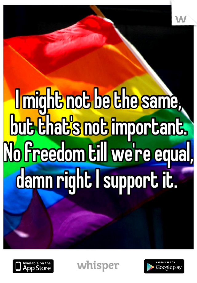 I might not be the same, but that's not important. No freedom till we're equal, damn right I support it. 