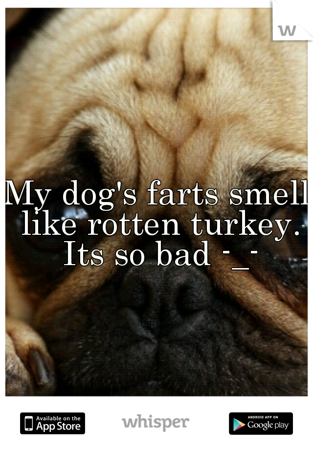 My dog's farts smell like rotten turkey. Its so bad -_-