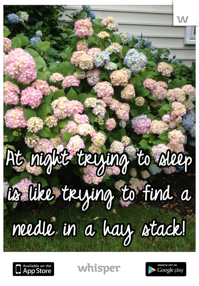 At night trying to sleep is like trying to find a needle in a hay stack!