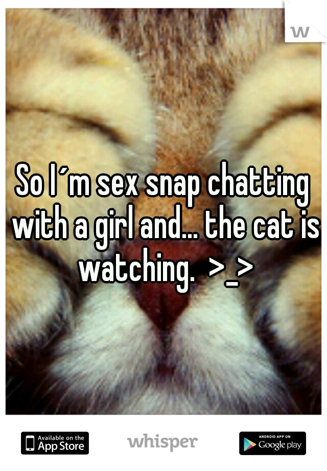 So I´m sex snap chatting with a girl and... the cat is watching.  >_>