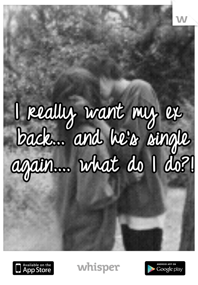 I really want my ex back... and he's single again.... what do I do?!