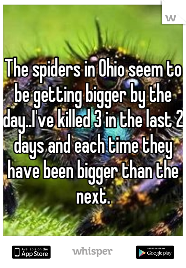The spiders in Ohio seem to be getting bigger by the day..I've killed 3 in the last 2 days and each time they have been bigger than the next.