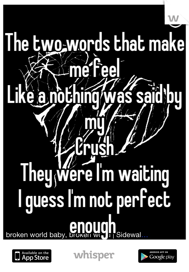 The two words that make me feel
Like a nothing was said by my
Crush 
They were I'm waiting 
I guess I'm not perfect enough 