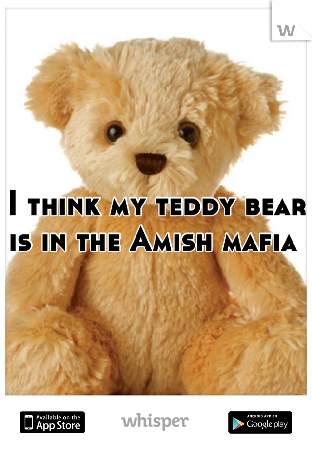 I think my teddy bear is in the Amish mafia 