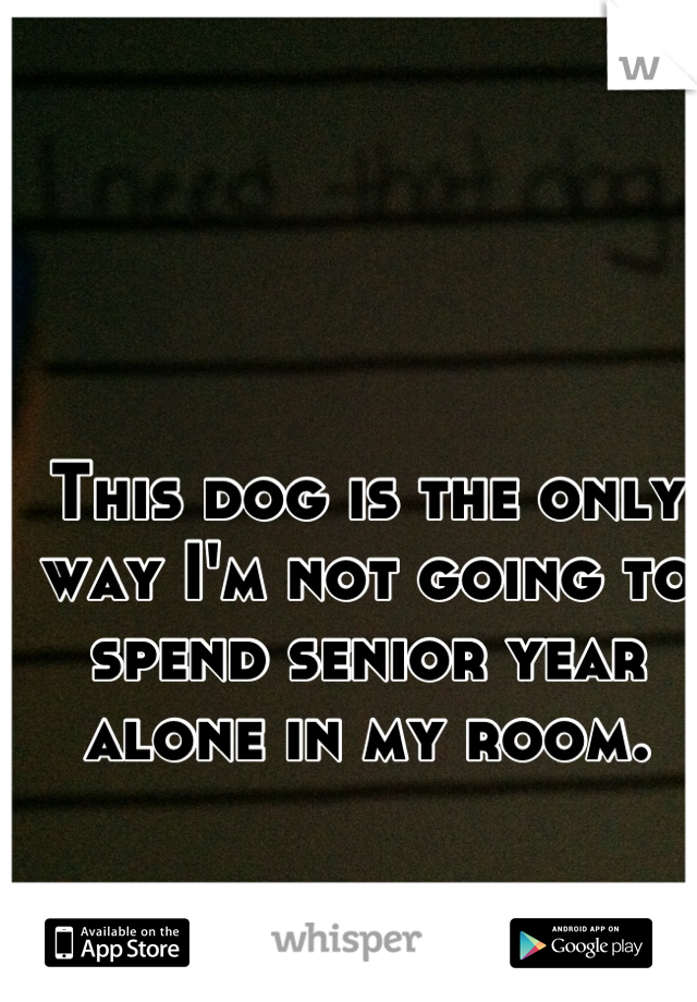 This dog is the only way I'm not going to spend senior year alone in my room.