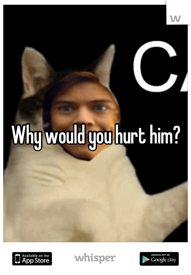 Why would you hurt him?