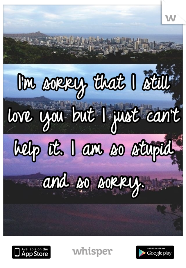 I'm sorry that I still love you but I just can't help it. I am so stupid and so sorry.