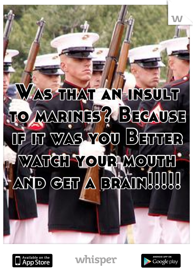 Was that an insult to marines? Because if it was you Better watch your mouth and get a brain!!!!!
