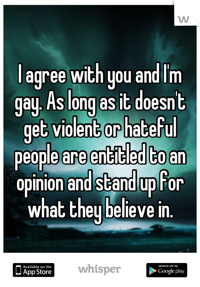 I agree with you and I'm gay. As long as it doesn't get violent or hateful people are entitled to an opinion and stand up for what they believe in.
