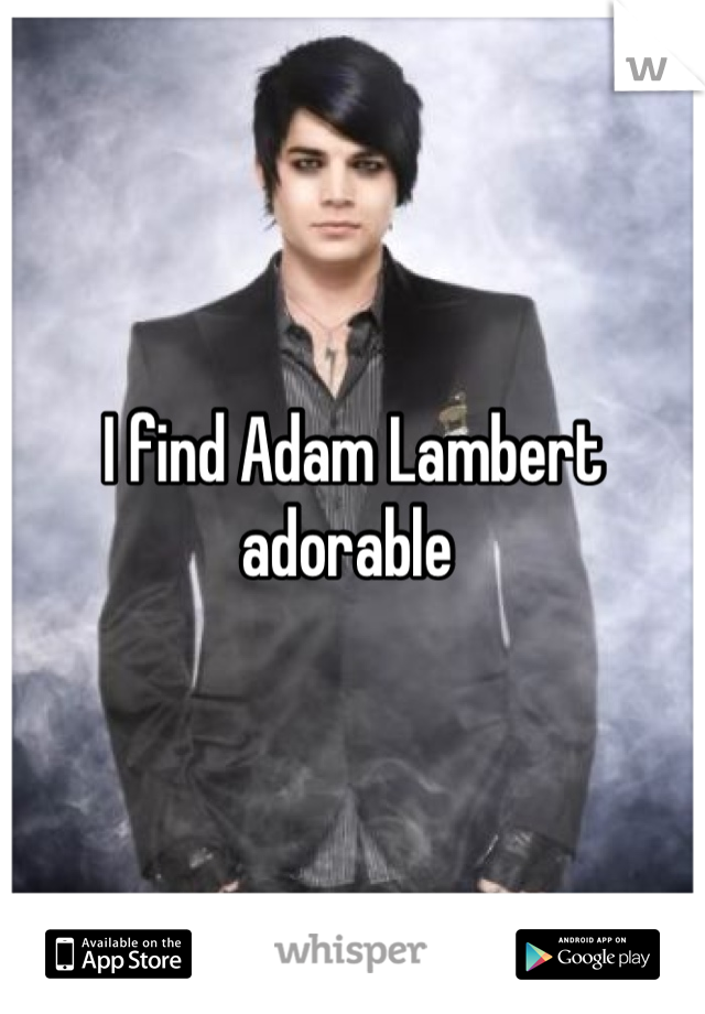 I find Adam Lambert adorable 