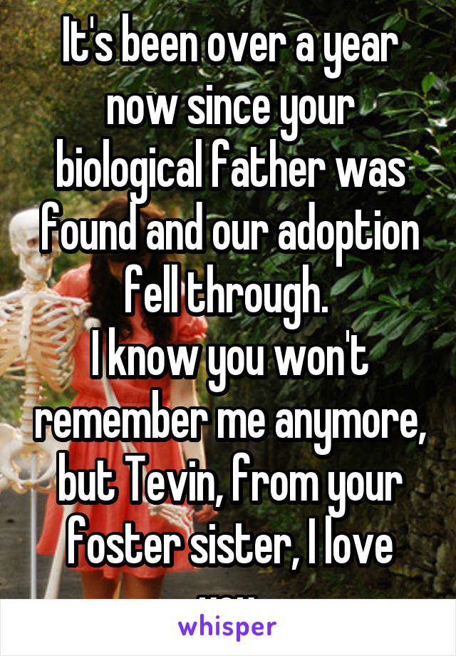 It's been over a year now since your biological father was found and our adoption fell through. 
I know you won't remember me anymore, but Tevin, from your foster sister, I love you.