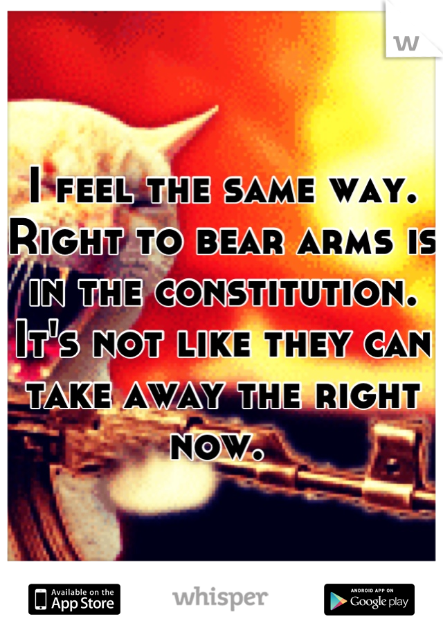 I feel the same way. Right to bear arms is in the constitution. It's not like they can take away the right now. 