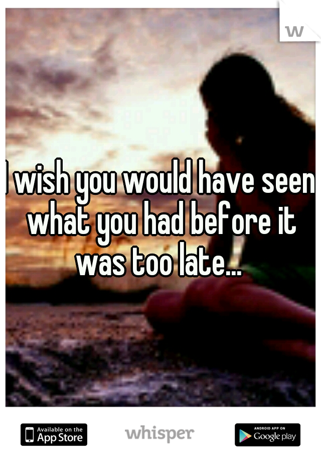 I wish you would have seen what you had before it was too late... 