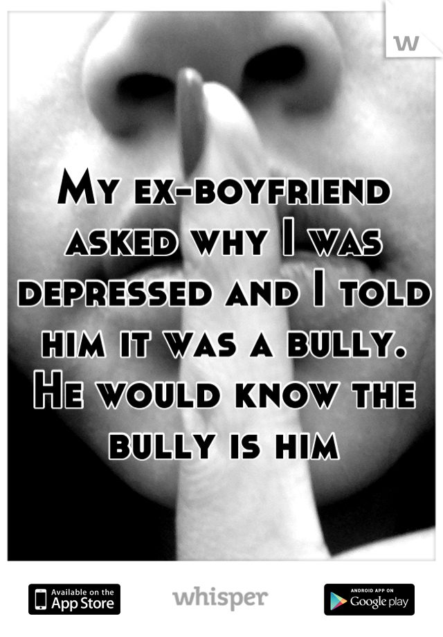 My ex-boyfriend asked why I was depressed and I told him it was a bully. 
He would know the bully is him