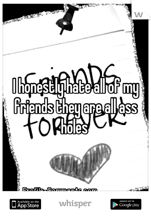 I honestly hate all of my friends they are all ass holes 