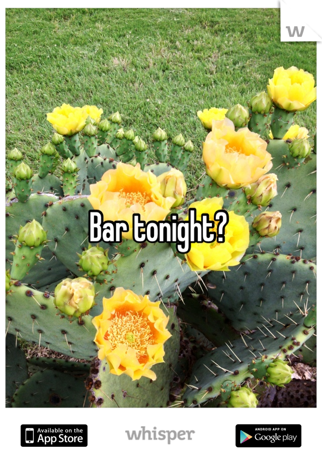 Bar tonight? 