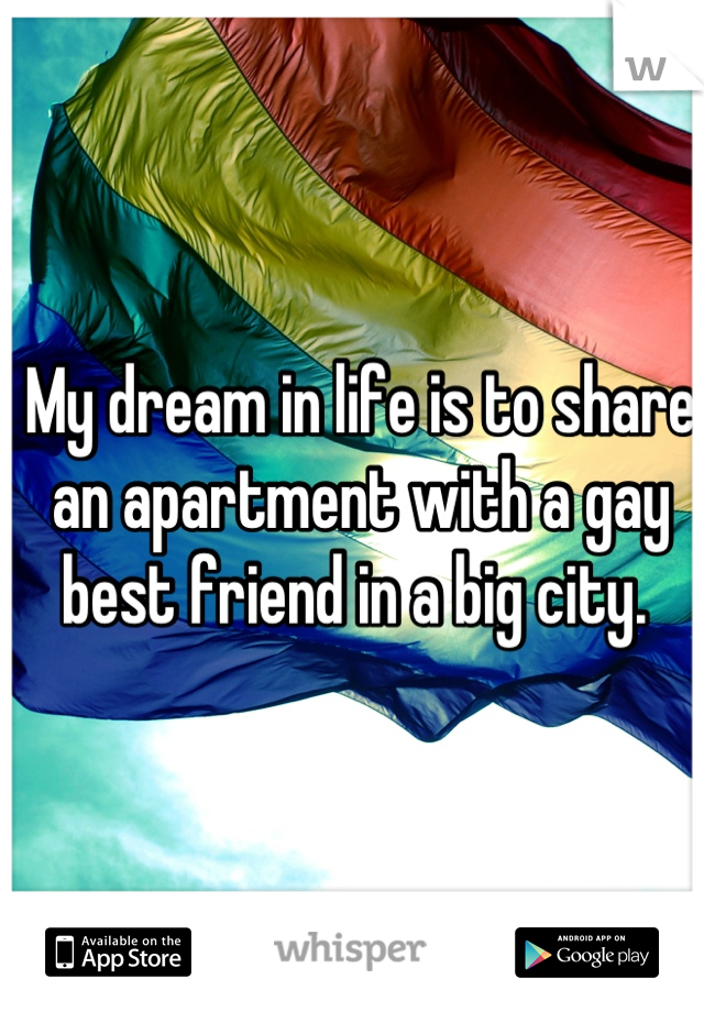 My dream in life is to share an apartment with a gay best friend in a big city. 