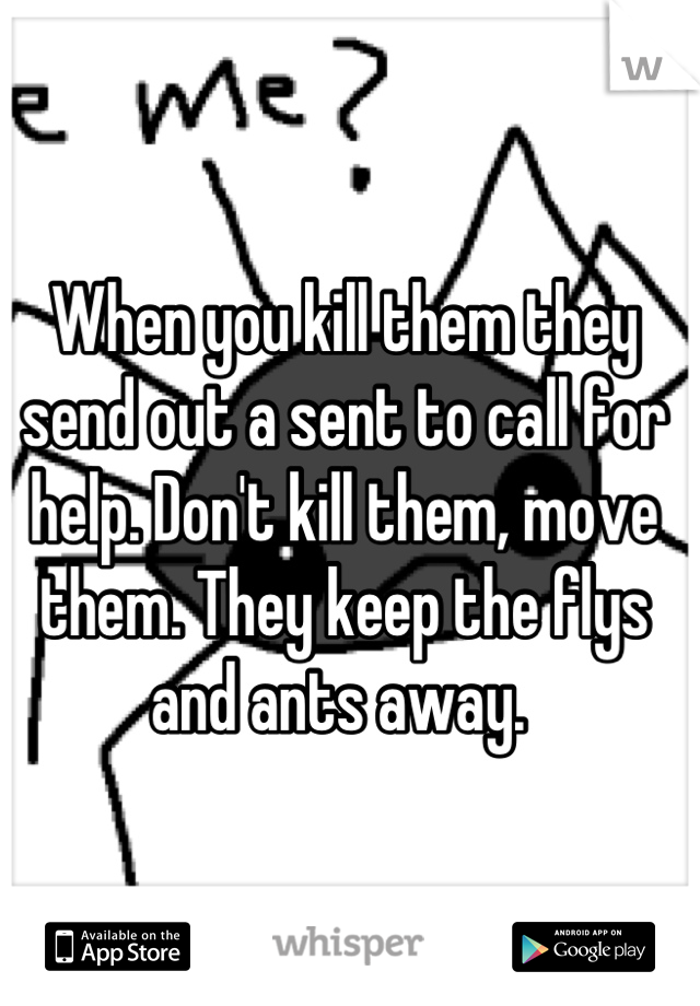 When you kill them they send out a sent to call for help. Don't kill them, move them. They keep the flys and ants away. 