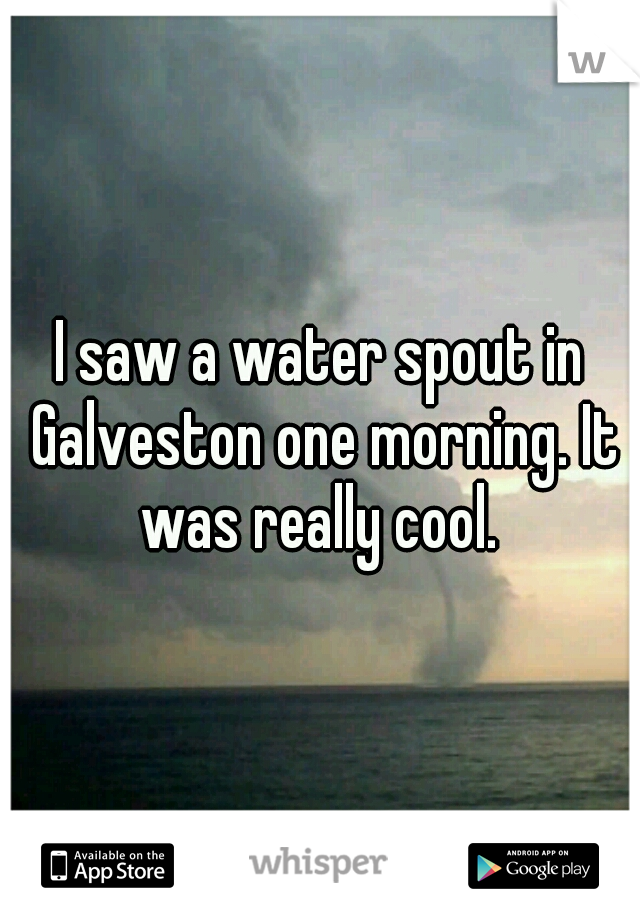 I saw a water spout in Galveston one morning. It was really cool. 