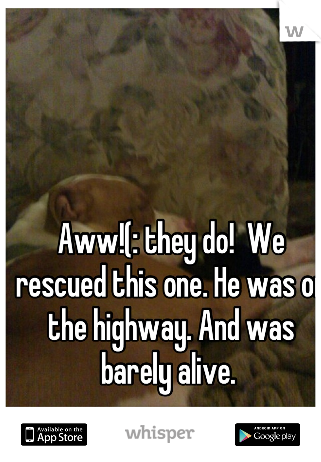 Aww!(: they do!  We rescued this one. He was on the highway. And was barely alive. 