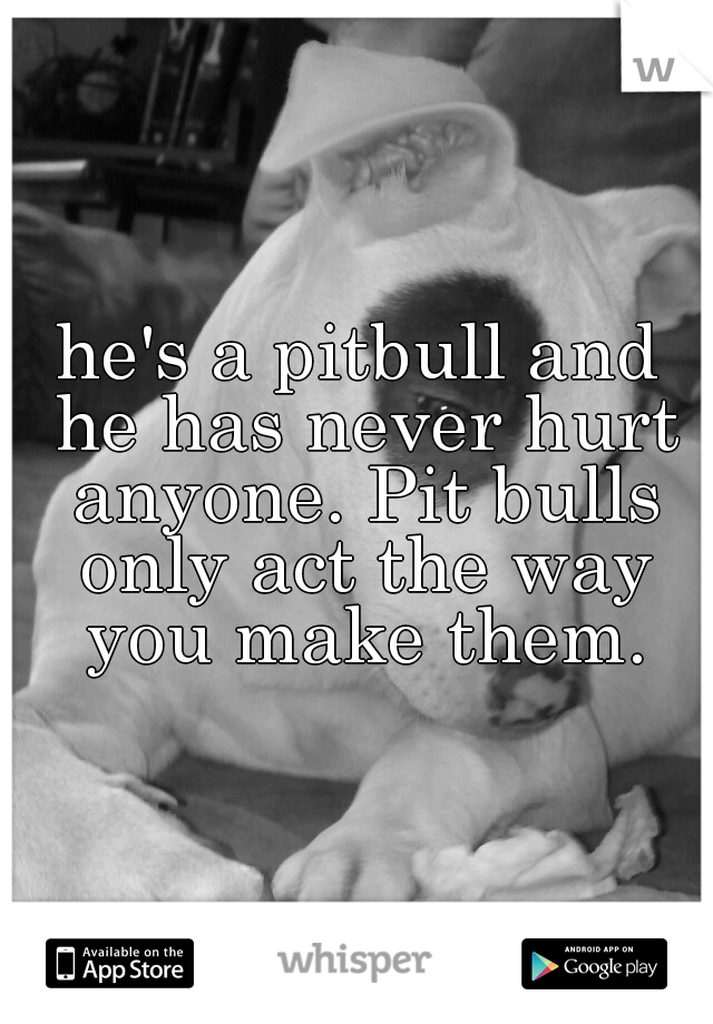 he's a pitbull and he has never hurt anyone. Pit bulls only act the way you make them.