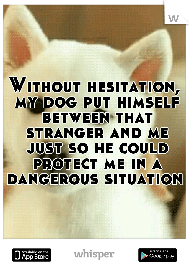 Without hesitation, my dog put himself between that stranger and me just so he could protect me in a dangerous situation 