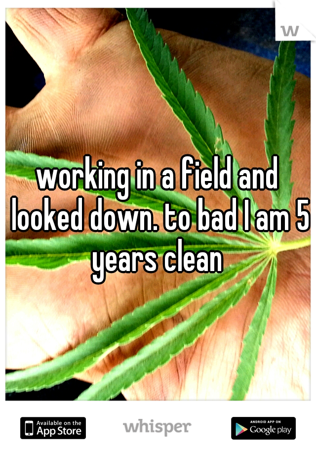 working in a field and looked down. to bad I am 5 years clean 