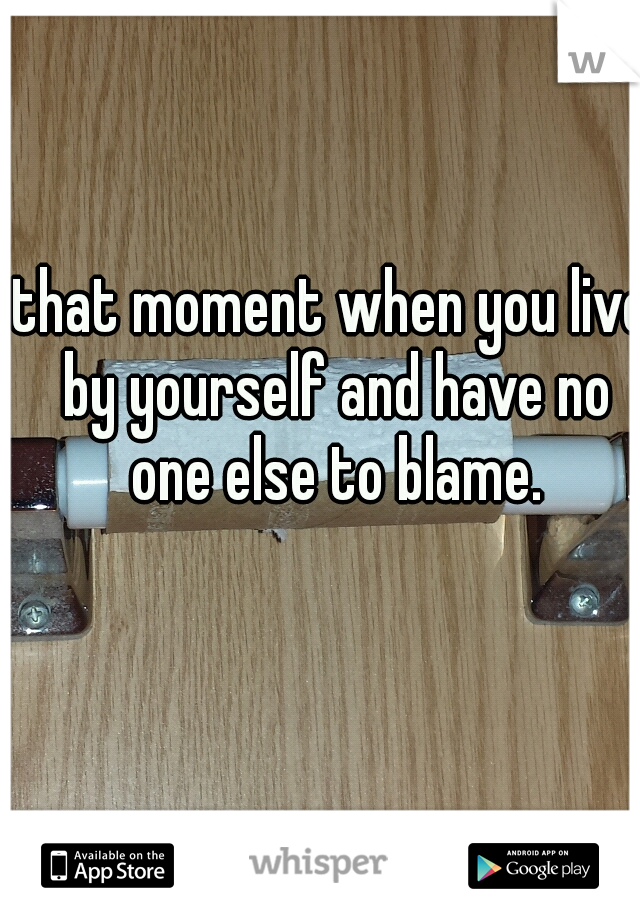 that moment when you live by yourself and have no one else to blame.