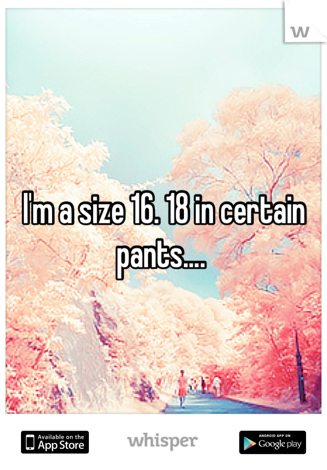 I'm a size 16. 18 in certain pants.... 