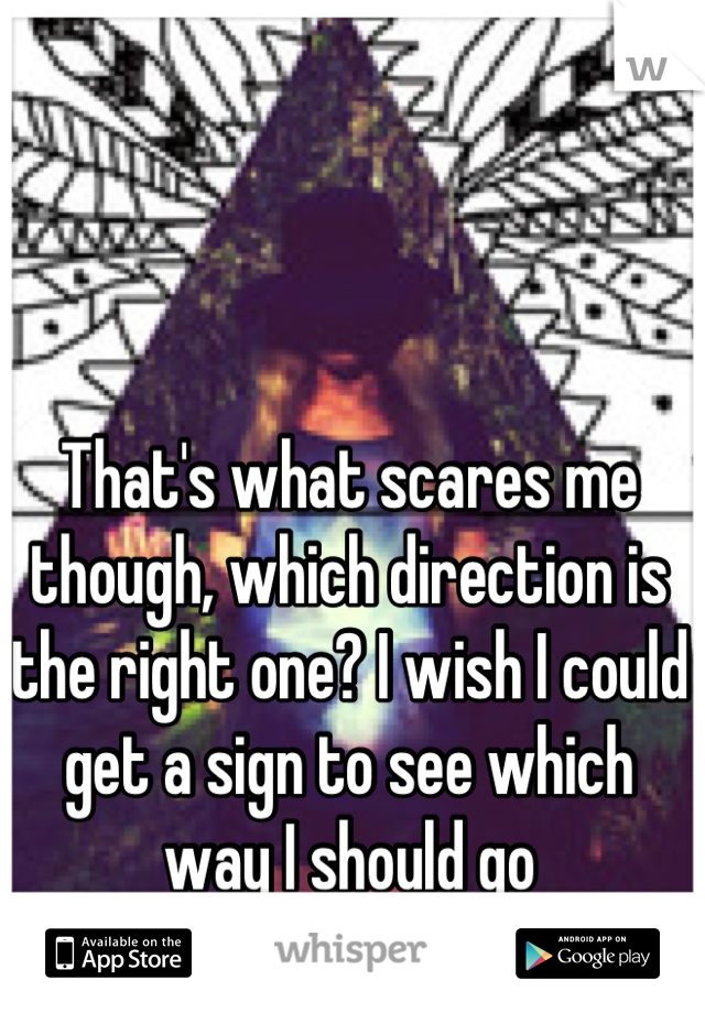 That's what scares me though, which direction is the right one? I wish I could get a sign to see which way I should go
