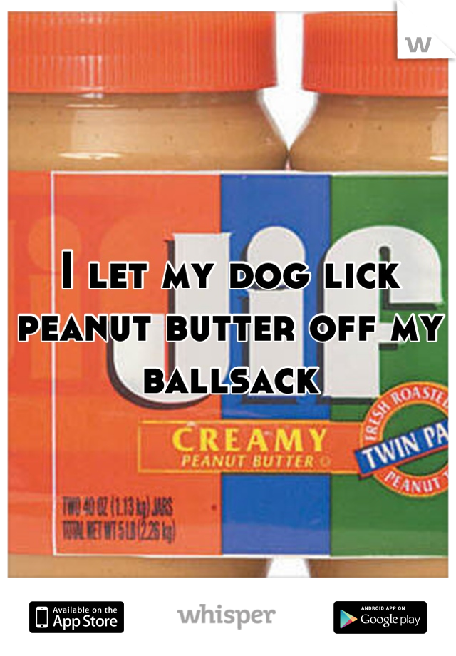 I let my dog lick peanut butter off my ballsack