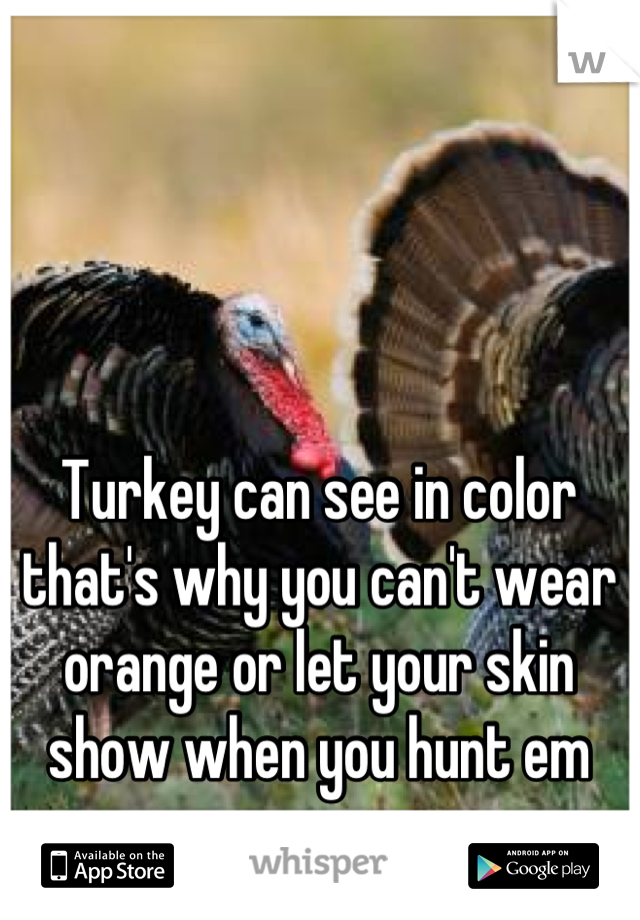 Turkey can see in color that's why you can't wear orange or let your skin show when you hunt em