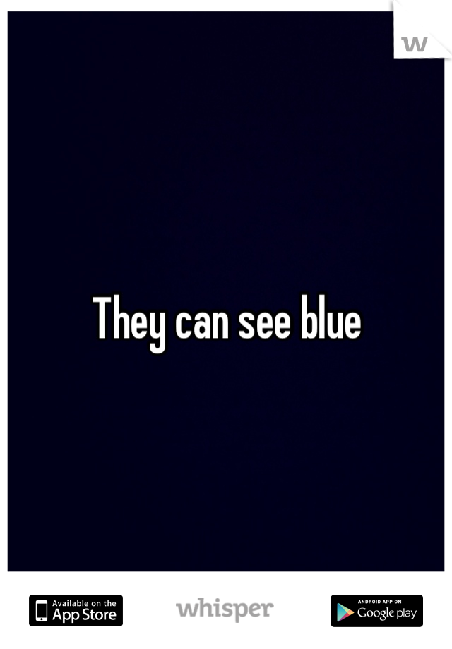 They can see blue