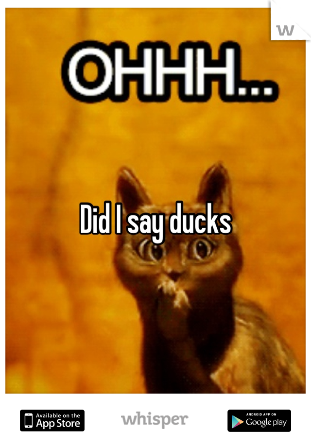 Did I say ducks