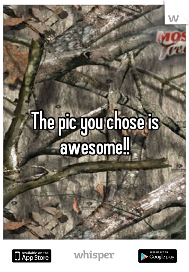 The pic you chose is awesome!!