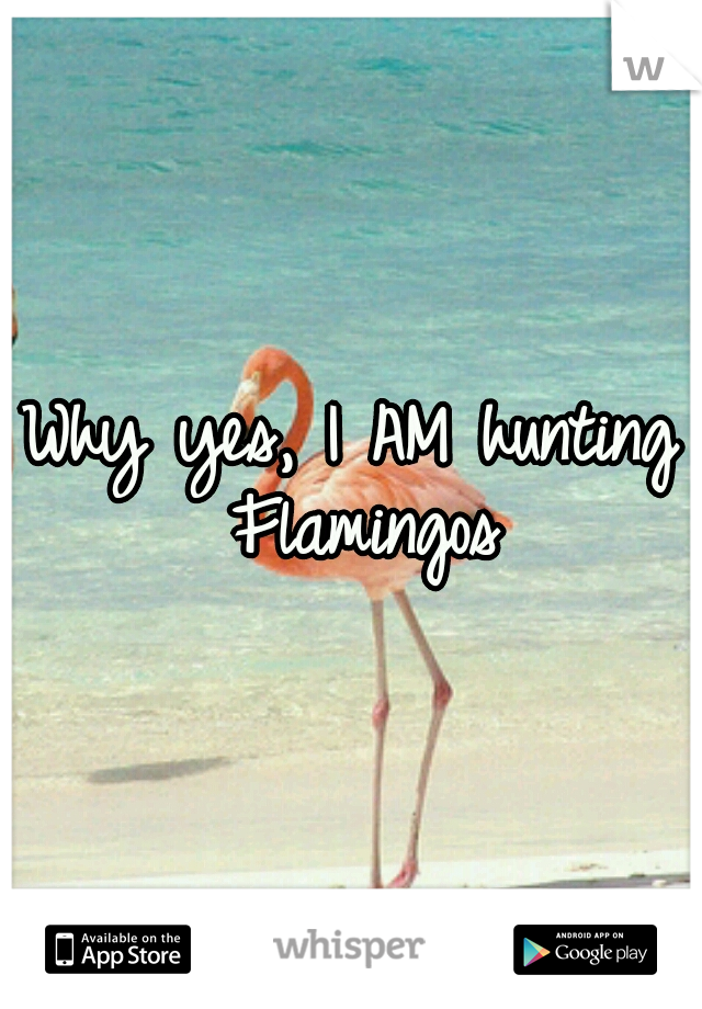 Why yes, I AM hunting Flamingos