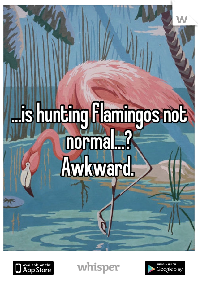 ...is hunting flamingos not normal...?
Awkward. 