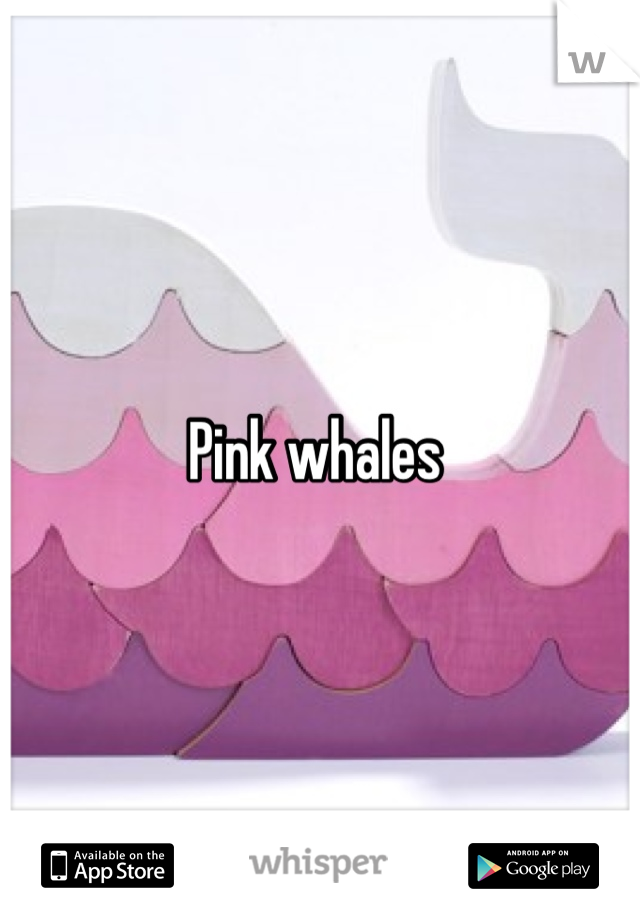 Pink whales 