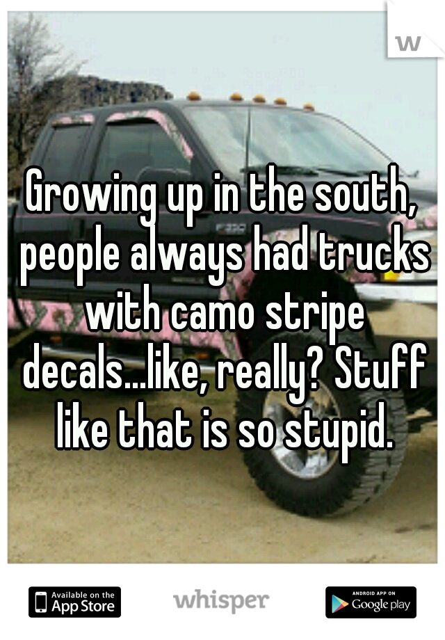 Growing up in the south, people always had trucks with camo stripe decals...like, really? Stuff like that is so stupid.