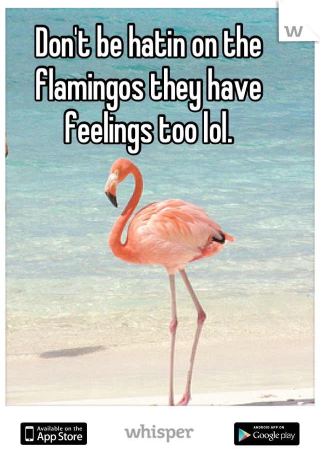 Don't be hatin on the flamingos they have feelings too lol.