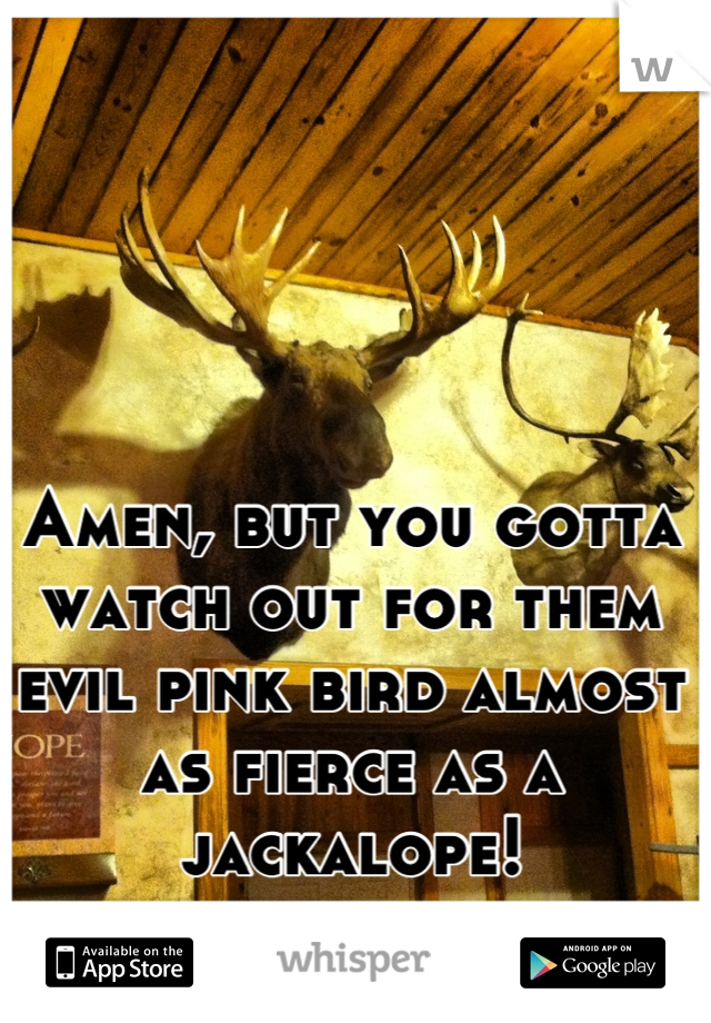 Amen, but you gotta watch out for them evil pink bird almost as fierce as a jackalope!