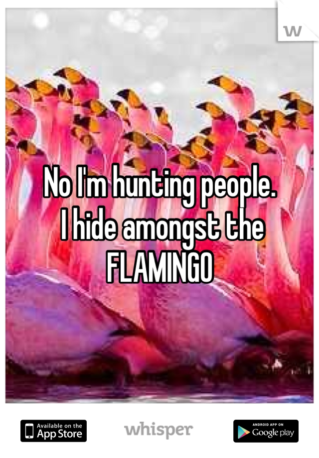 No I'm hunting people.
 I hide amongst the
FLAMINGO
