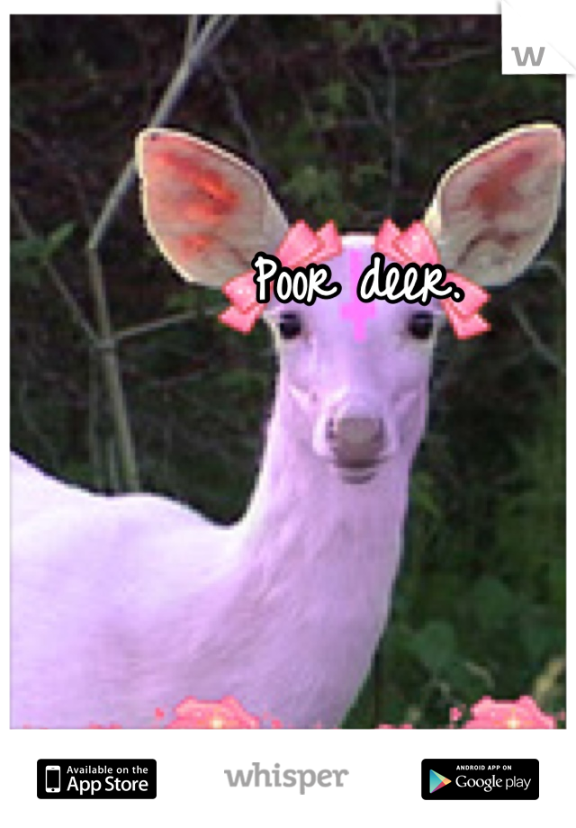 Poor deer.