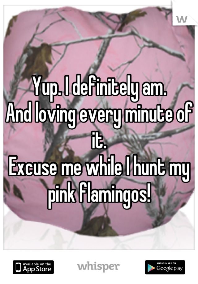 Yup. I definitely am. 
And loving every minute of it. 
Excuse me while I hunt my pink flamingos!