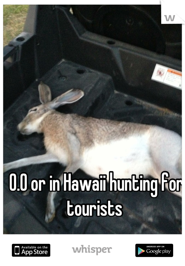 0.0 or in Hawaii hunting for tourists 