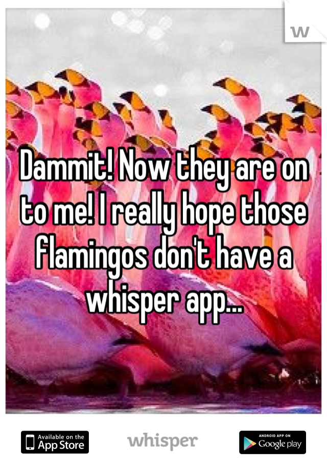 Dammit! Now they are on to me! I really hope those flamingos don't have a whisper app...