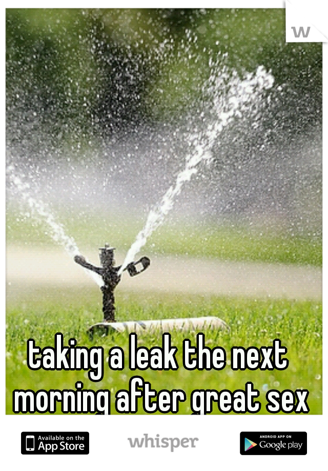 taking a leak the next morning after great sex
