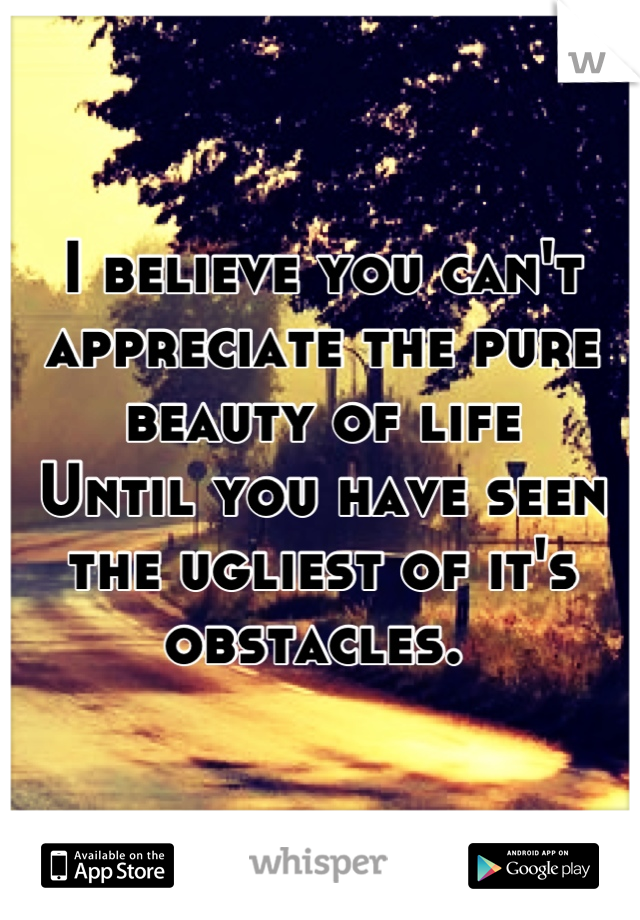 I believe you can't appreciate the pure beauty of life
Until you have seen the ugliest of it's obstacles. 