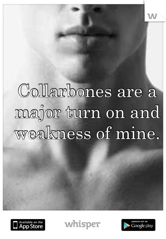 Collarbones are a major turn on and weakness of mine.